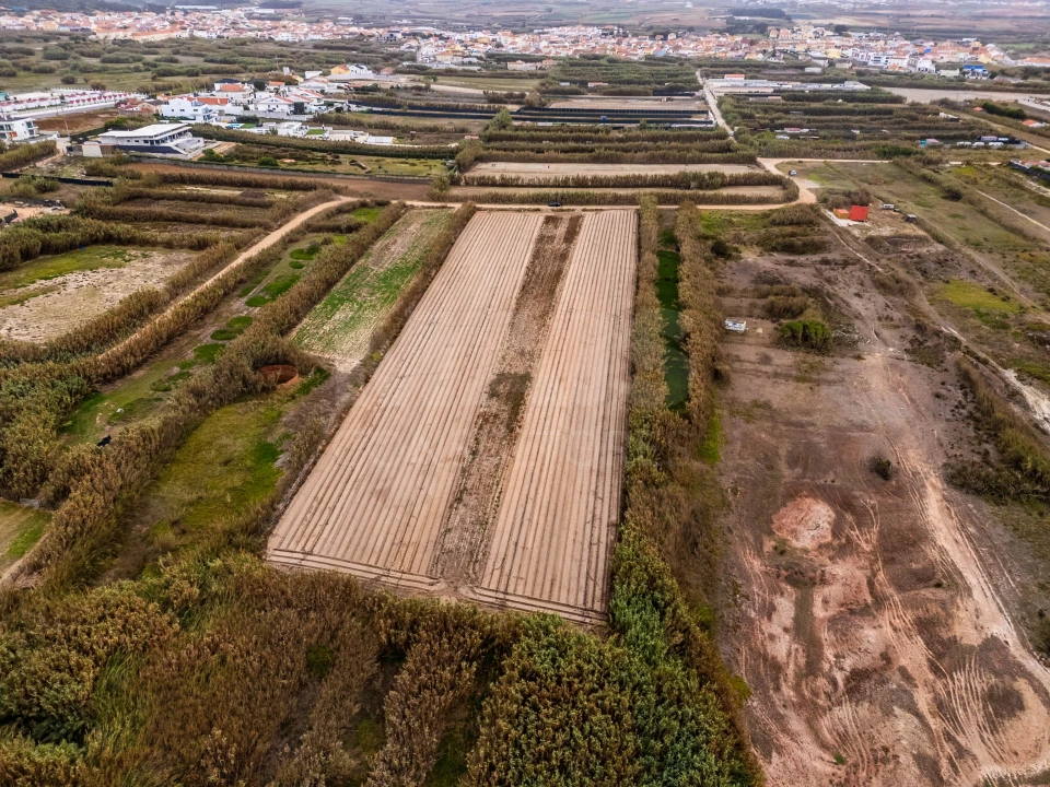 Terreno para Venda em Ferrel Foto 8
