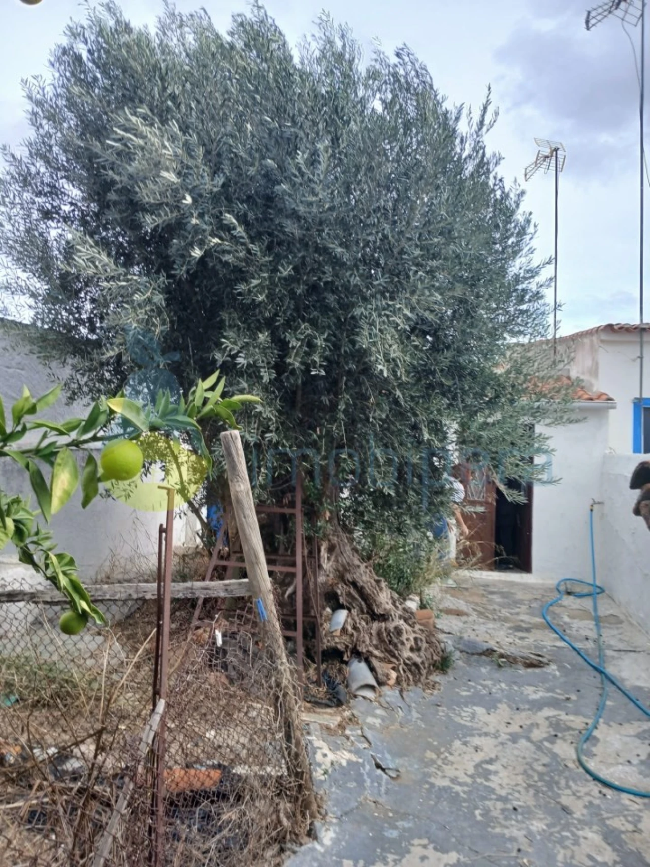 Moradia T2 para Venda em Santa Vitória e Mombeja Foto 17