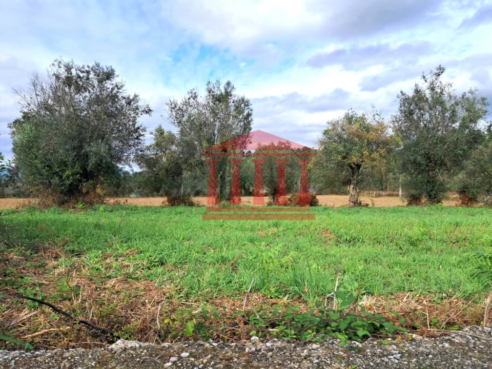Terreno para Venda em Alheira e Igreja Nova Foto 1