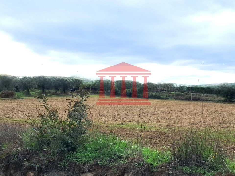 Terreno para Venda em Alheira e Igreja Nova Foto 2