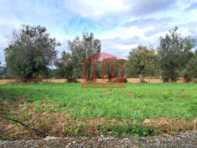Terreno para Venda em Alheira e Igreja Nova