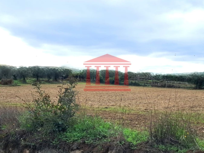 Terreno para Venda em Alheira e Igreja Nova Foto 2