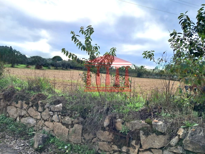 Terreno para Venda em Alheira e Igreja Nova Foto 5