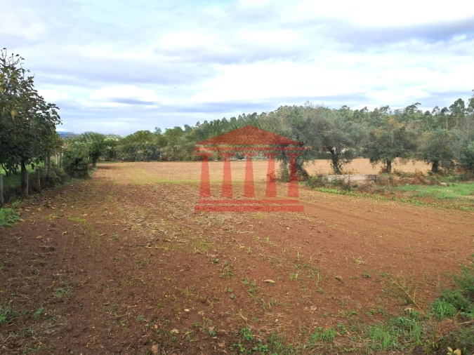 Terreno para Venda em Alheira e Igreja Nova Foto 6