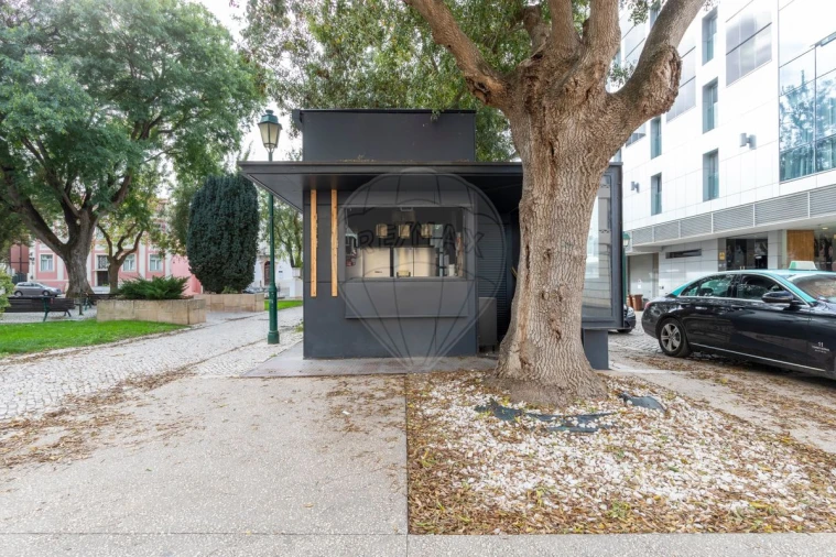 Negócio para Venda em Santa Maria, São Pedro e Matacães Foto 8