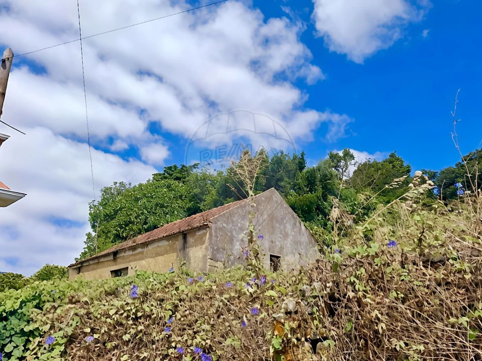 Armazém para Venda em Santo Quintino Foto 3