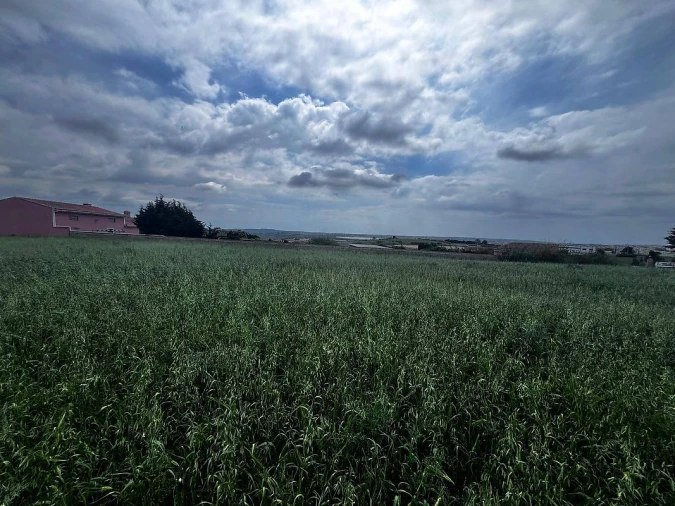Terreno para Venda em Ponte do Rol Foto 8