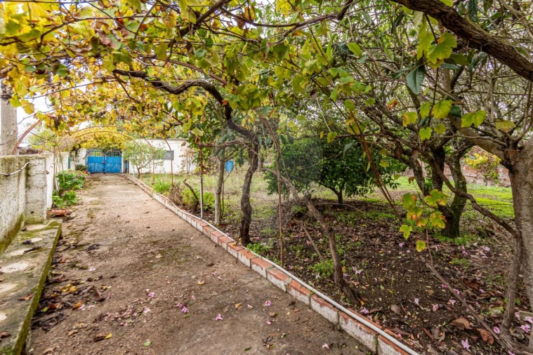 Moradia T3 para Venda em Aveiras de Baixo Foto 25