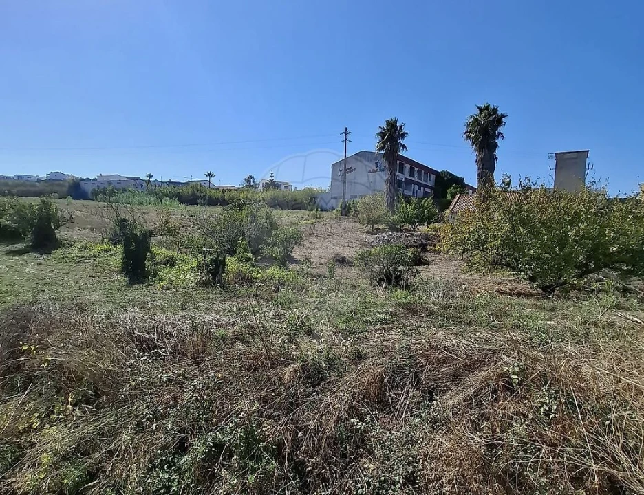 Armazém para Venda em Lourinhã e Atalaia Foto 3