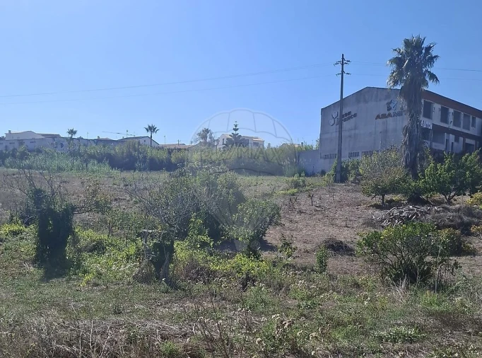 Armazém para Venda em Lourinhã e Atalaia Foto 2