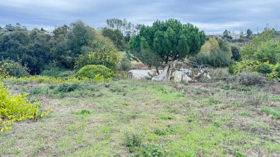 Moradia T2 para Venda em Ferreira de Aves Foto 4