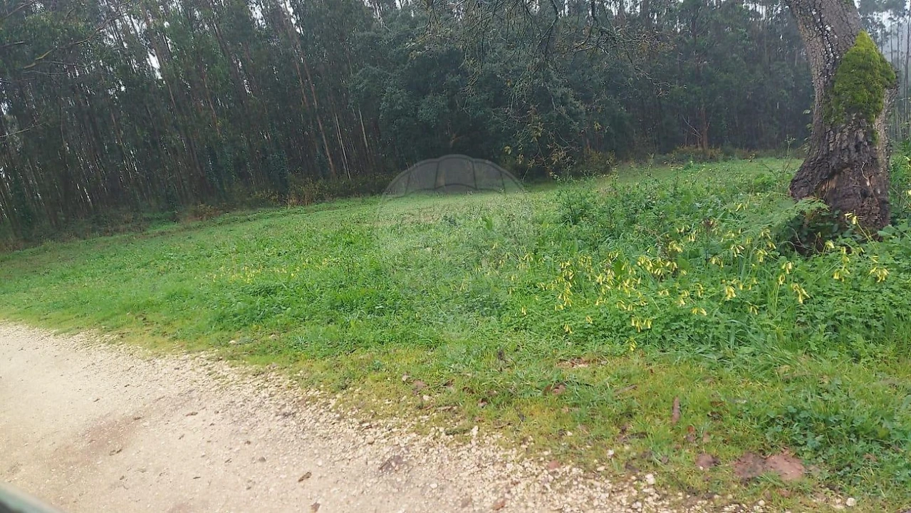 Terreno para Venda em Santa Catarina Foto 3