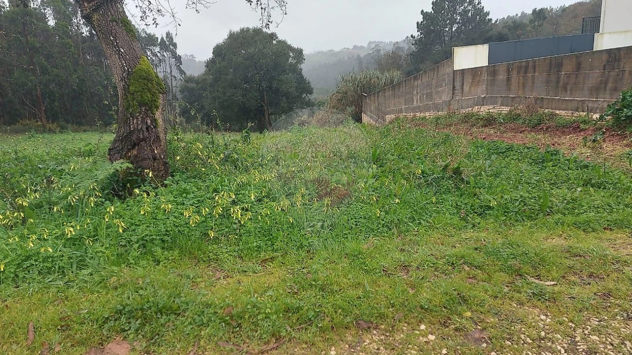 Terreno para Venda em Santa Catarina Foto 4