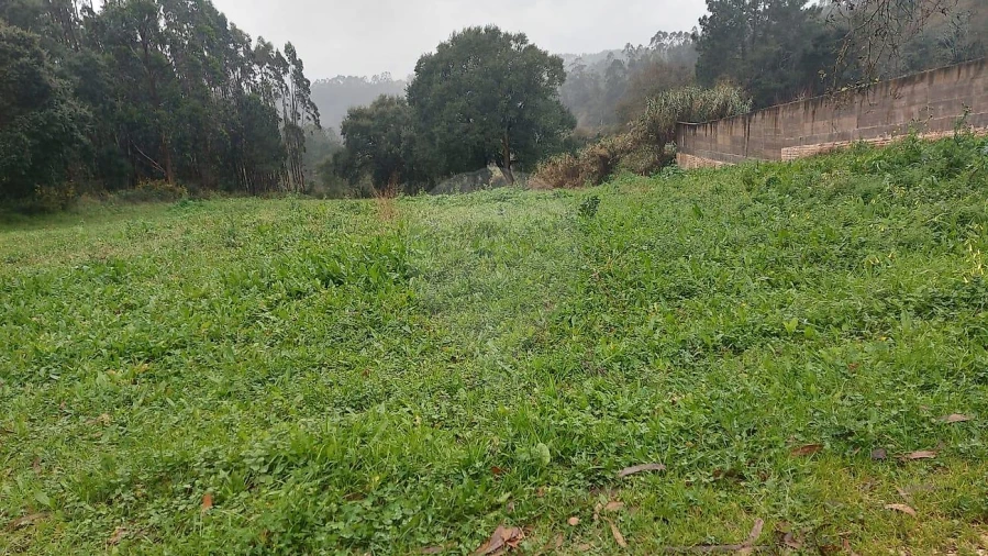 Terreno para Venda em Santa Catarina