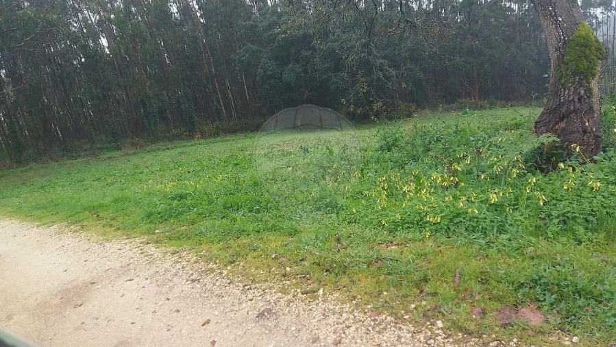 Terreno para Venda em Santa Catarina Foto 3