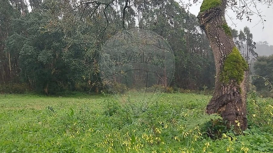 Terreno para Venda em Santa Catarina