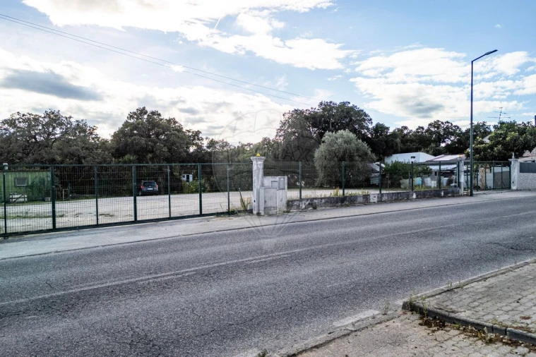 Terreno para Venda em Rio Maior Foto 6