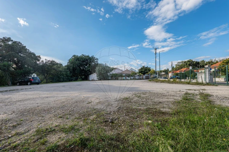 Terreno para Venda em Rio Maior