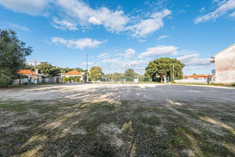 Terreno para Venda em Rio Maior Foto 9