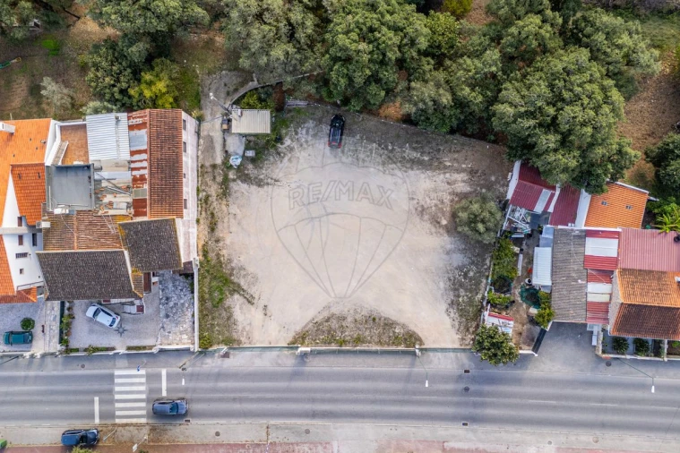 Terreno para Venda em Rio Maior Foto 13