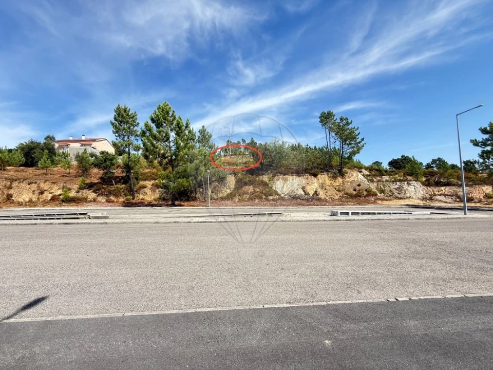 Terreno para Venda em Mação, Penhascoso e Aboboreira Foto 5