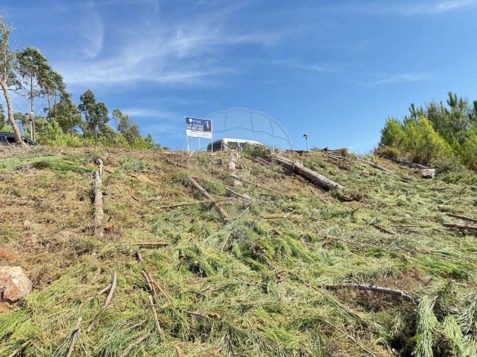 Terreno para Venda em Mação, Penhascoso e Aboboreira Foto 7