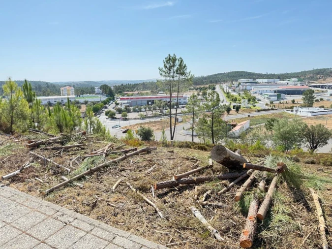 Terreno para Venda em Mação, Penhascoso e Aboboreira Foto 6