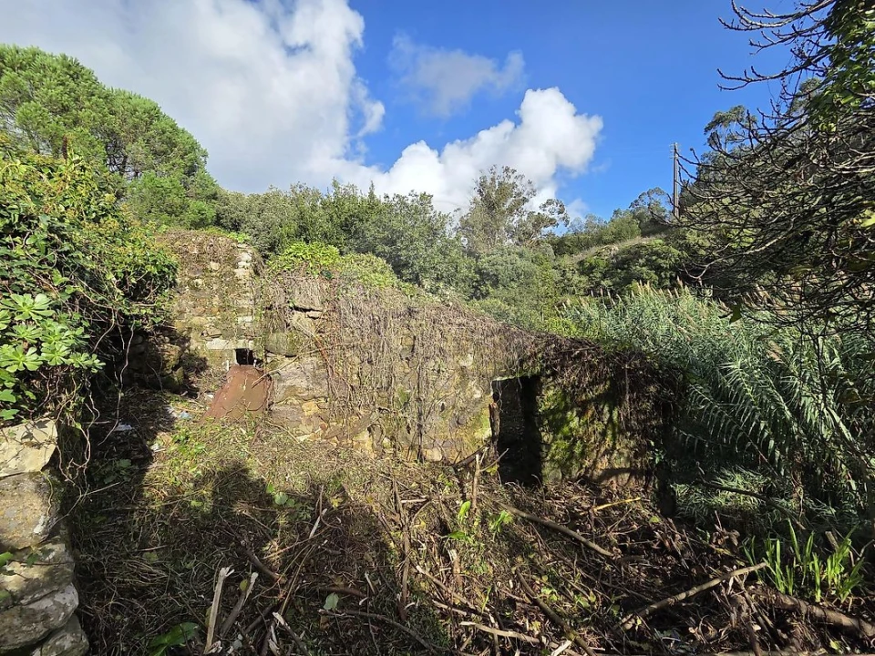 Moradia T4 para Venda em Almargem do Bispo, Pêro Pinheiro e Montelavar Foto 8