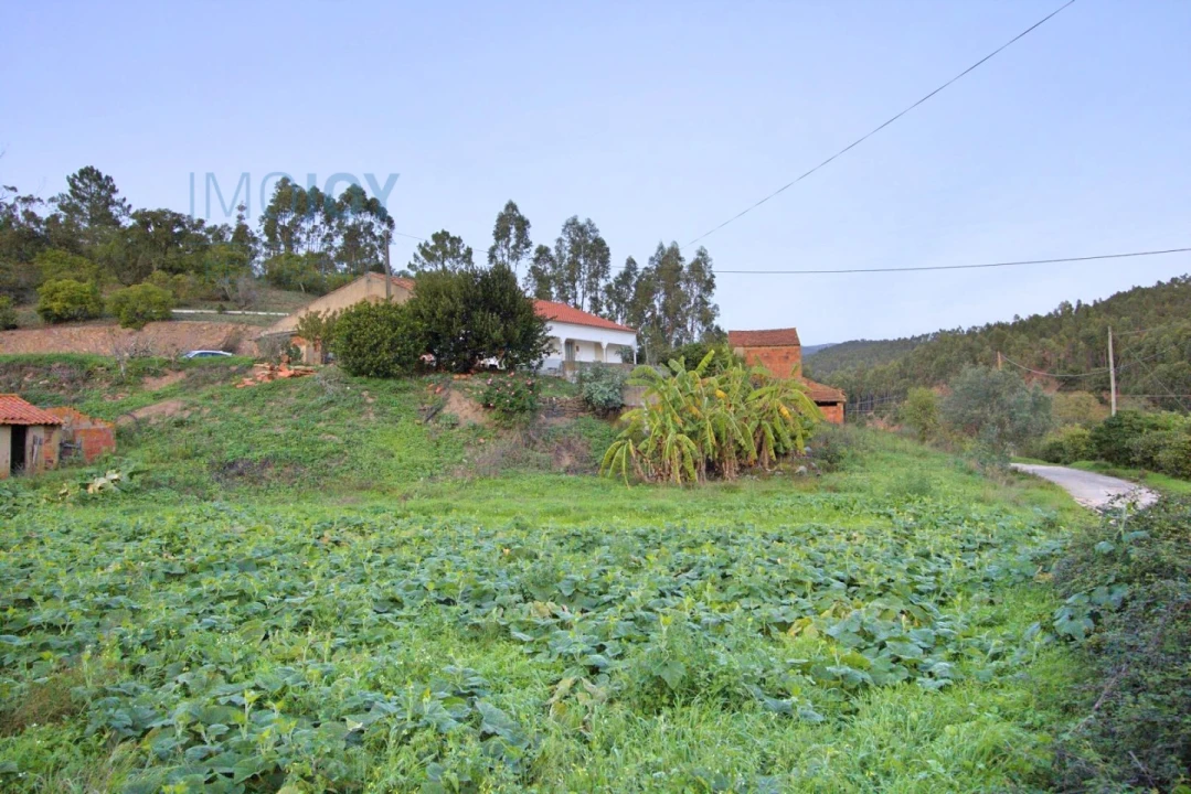 Terreno Misto para Venda em Marmelete Foto 1