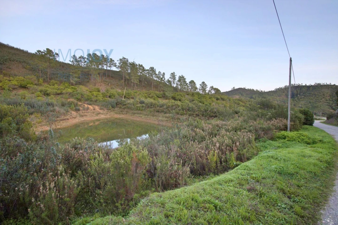 Terreno Misto para Venda em Marmelete Foto 4