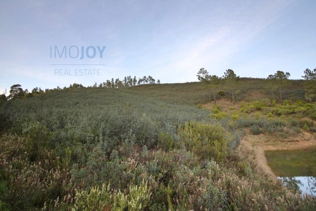 Terreno Misto para Venda em Marmelete Foto 5