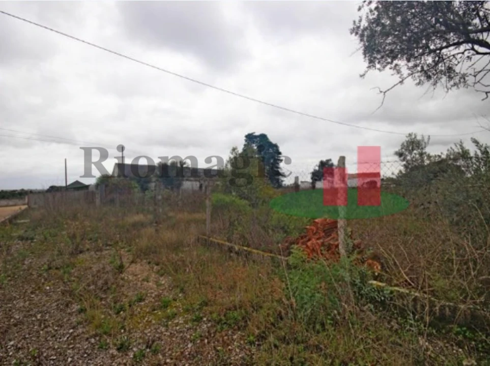 Armazém para Venda em Marvila, Ribeira Santarém, São Salvador, São Nicolau Foto 4