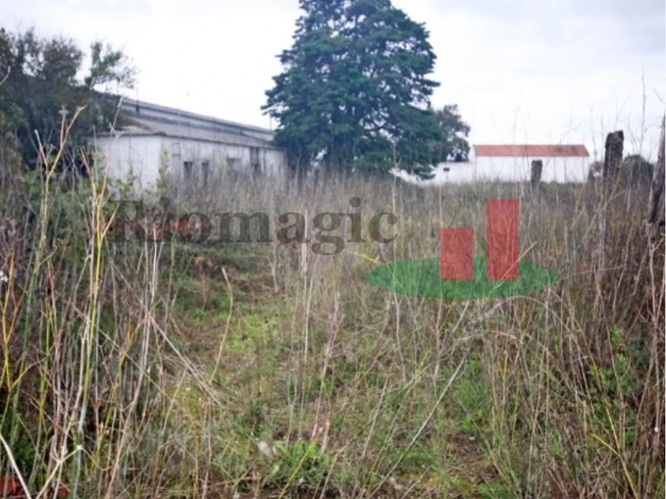 Armazém para Venda em Marvila, Ribeira Santarém, São Salvador, São Nicolau Foto 8