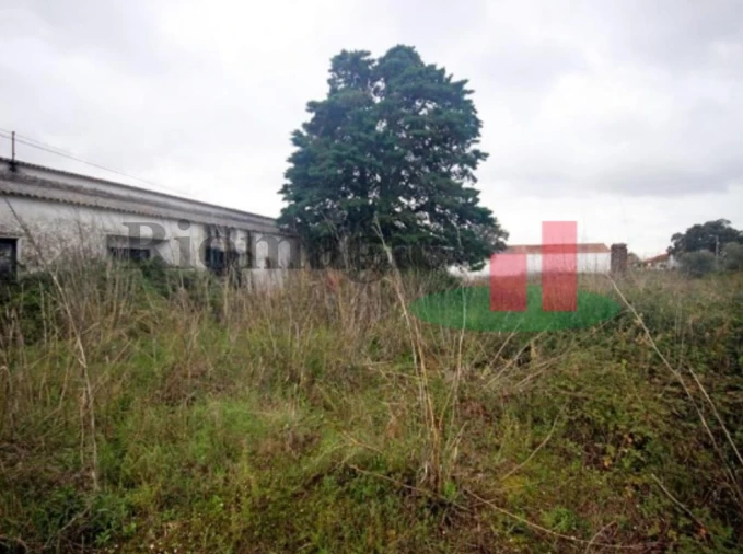 Armazém para Venda em Marvila, Ribeira Santarém, São Salvador, São Nicolau Foto 7