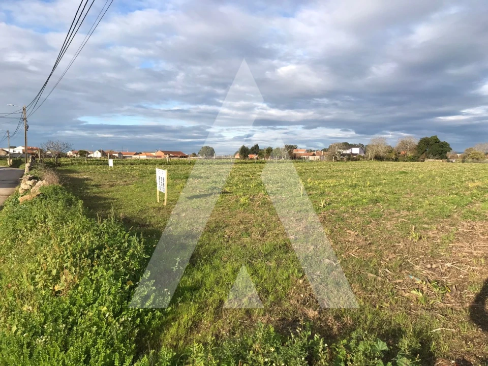 Moradia T3 para Venda em Oliveirinha Foto 5