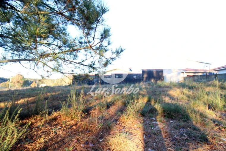 Terreno para Venda em Fradelos Foto 5