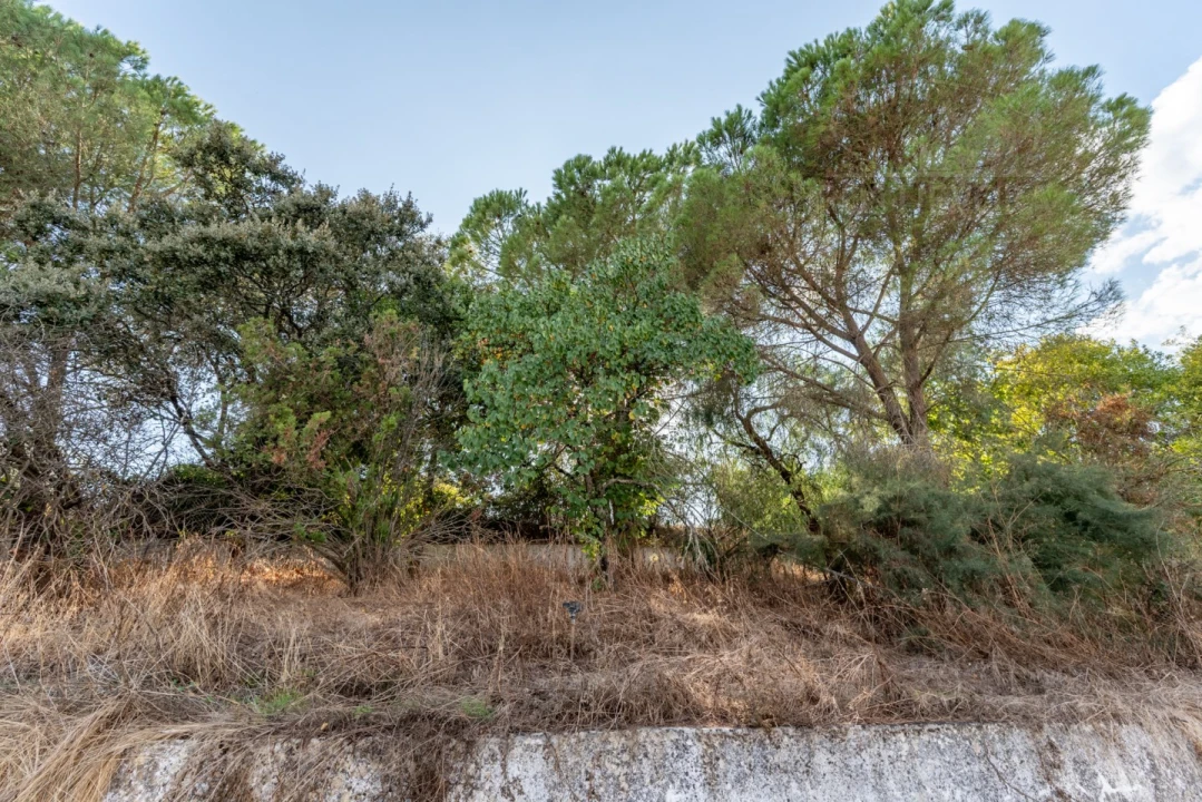 Quinta T5 para Venda em Bacelo e Senhora da Saúde Foto 44