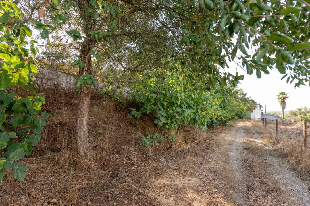 Quinta T5 para Venda em Bacelo e Senhora da Saúde Foto 56
