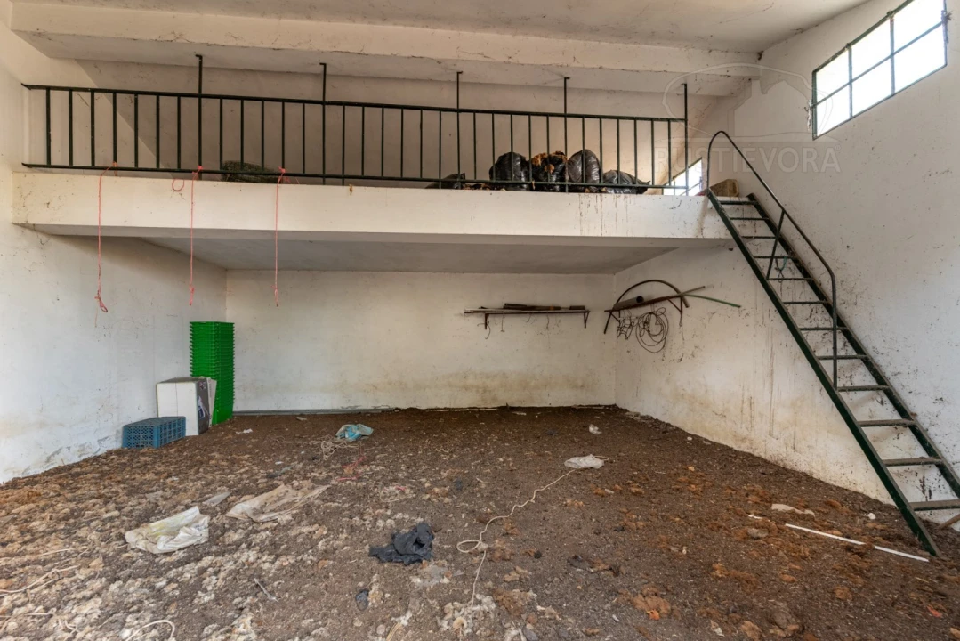 Quinta T5 para Venda em Bacelo e Senhora da Saúde Foto 59