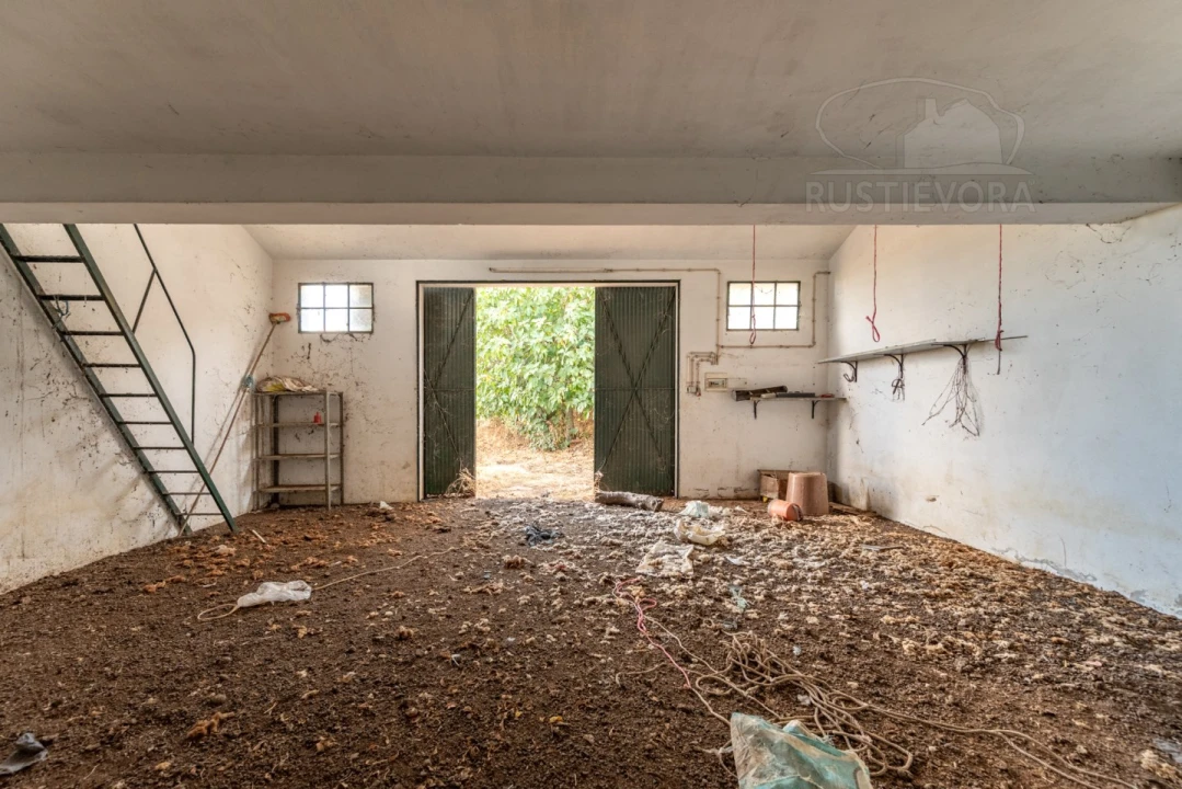 Quinta T5 para Venda em Bacelo e Senhora da Saúde Foto 60