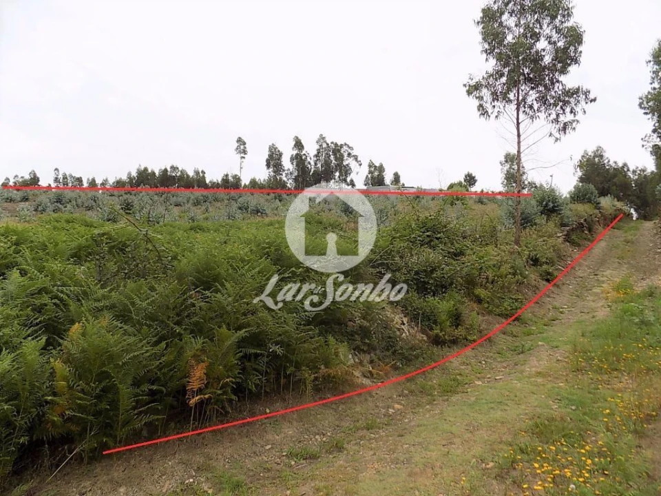 Terreno Agricola ou Rústico para Venda em Fradelos Foto 2
