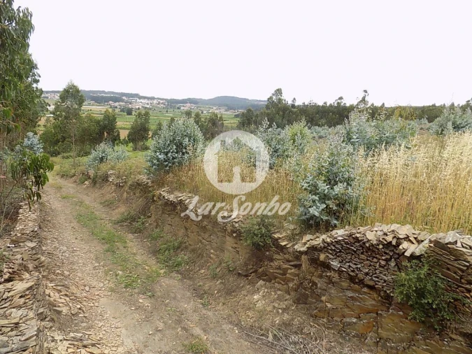 Terreno Agricola ou Rústico para Venda em Fradelos Foto 5