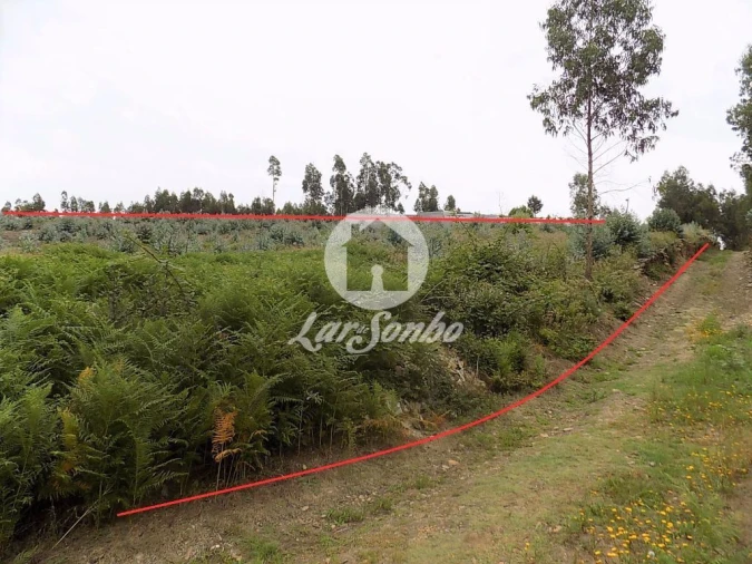 Terreno Agricola ou Rústico para Venda em Fradelos Foto 2