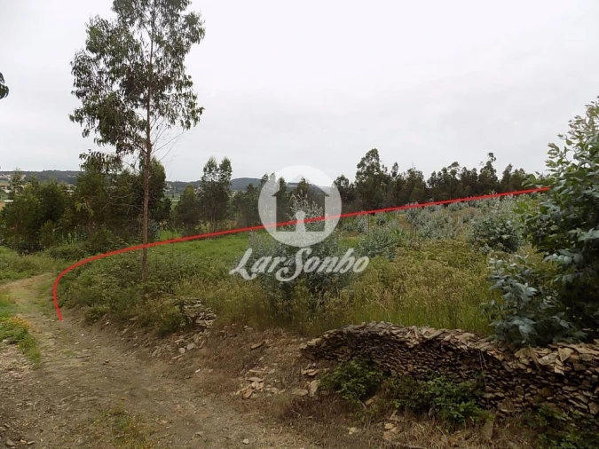 Terreno Agricola ou Rústico para Venda em Fradelos Foto 3