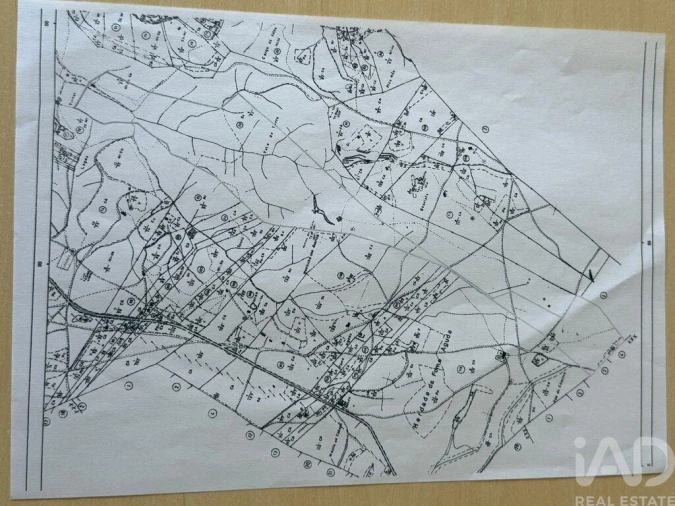 Quinta para Venda em Odeceixe Foto 31