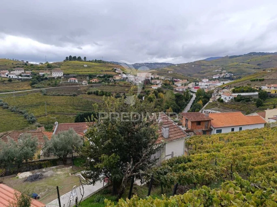 Moradia T3 para Venda em Lobrigos (São Miguel e São João Baptista) e Sanhoane Foto 20