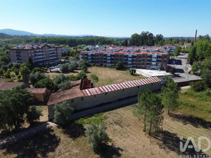 Terreno para Venda em Tamengos, Aguim e Óis do Bairro Foto 11