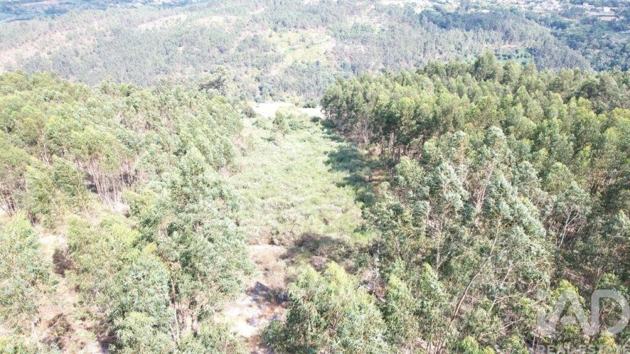 Terreno para Venda em Vila Boa de Quires e Maureles Foto 6