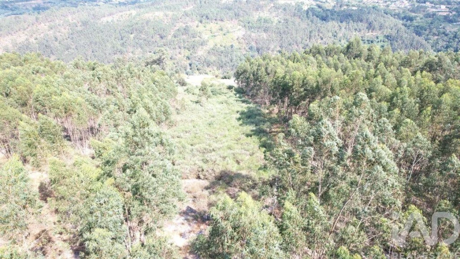 Terreno para Venda em Vila Boa de Quires e Maureles Foto 6