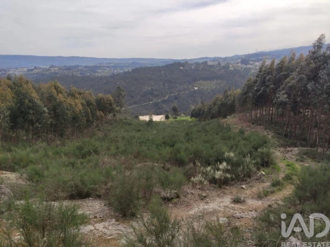 Terreno para Venda em Vila Boa de Quires e Maureles Foto 4
